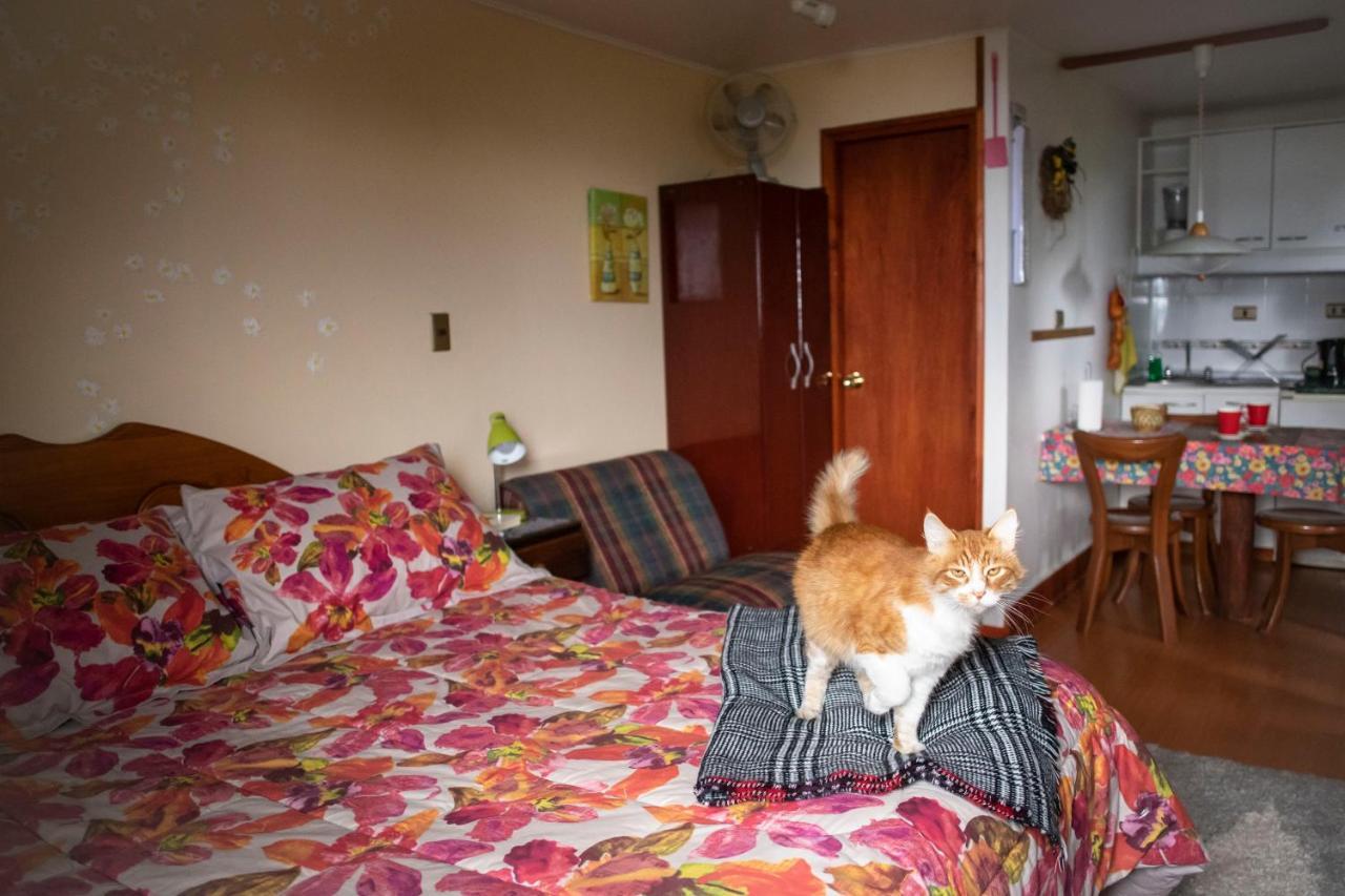 Los Gualles De La Candelaria Apart Hotel Pucón Екстериор снимка