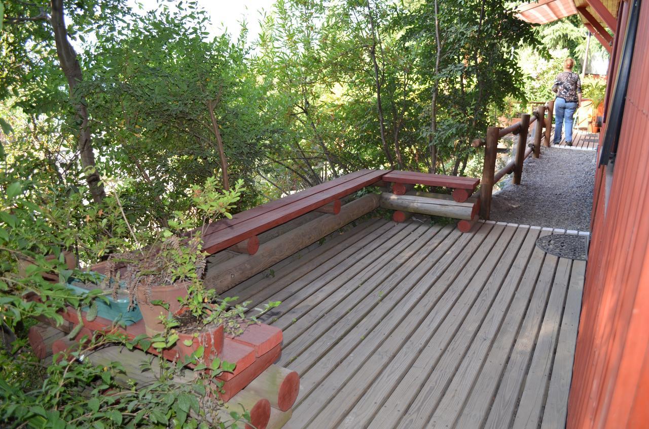 Los Gualles De La Candelaria Apart Hotel Pucón Екстериор снимка
